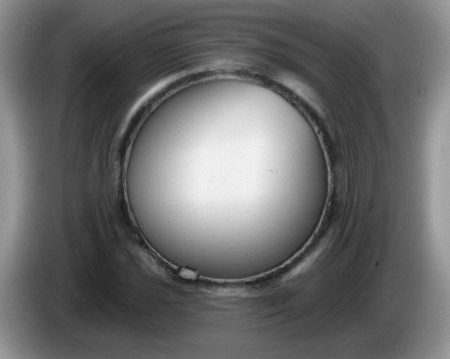 X0000086251021200704121948