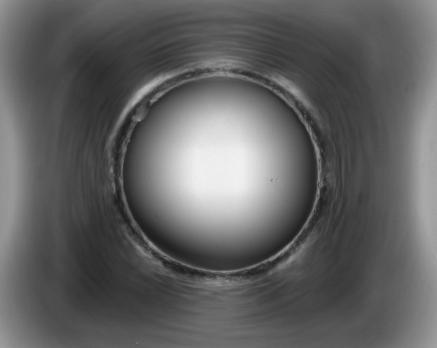 X0000086251022200704121948