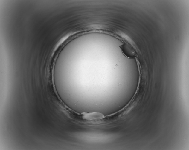 X0000086251023200704121948