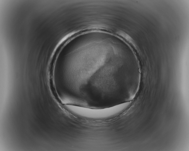 X0000086251024200704121948