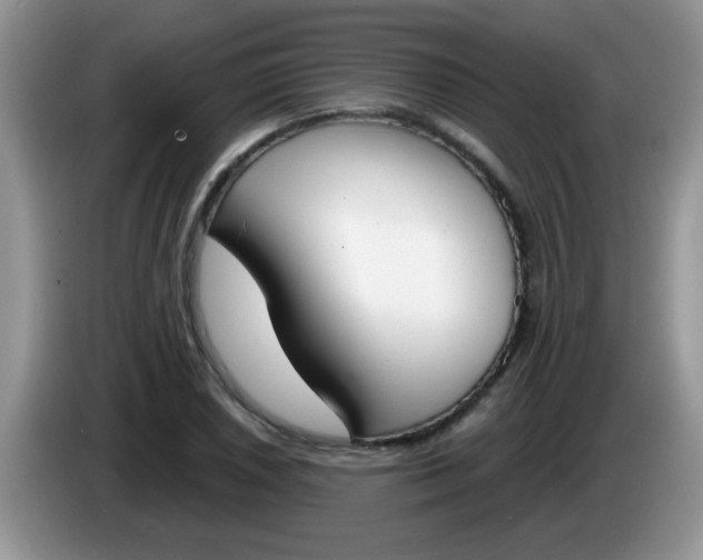 X0000086251026200704121948