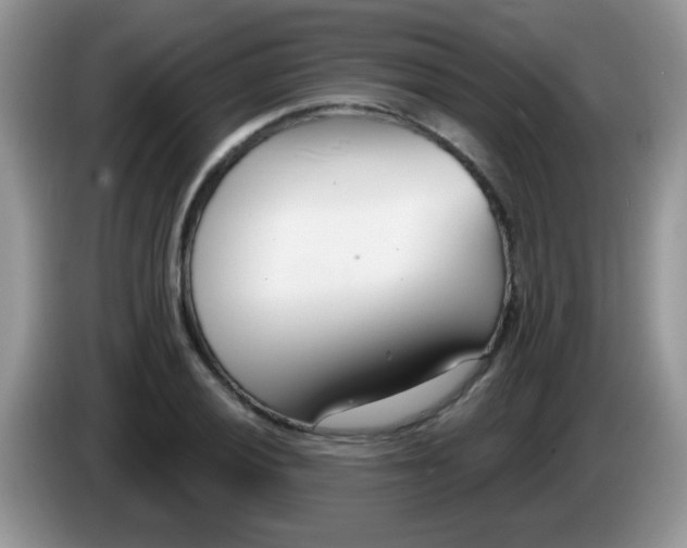 X0000086251028200704121948