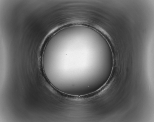 X0000086251029200704121948