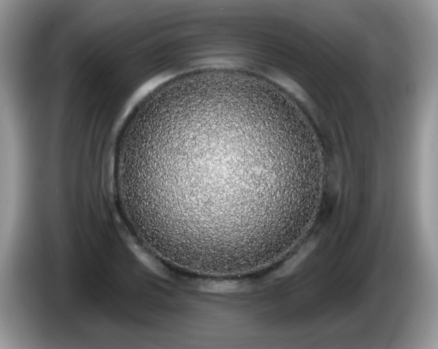 X0000086251030200704121948
