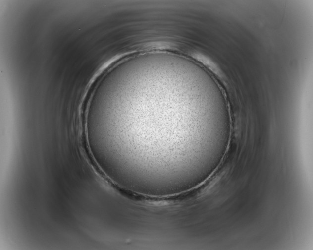 X0000086251031200704121948