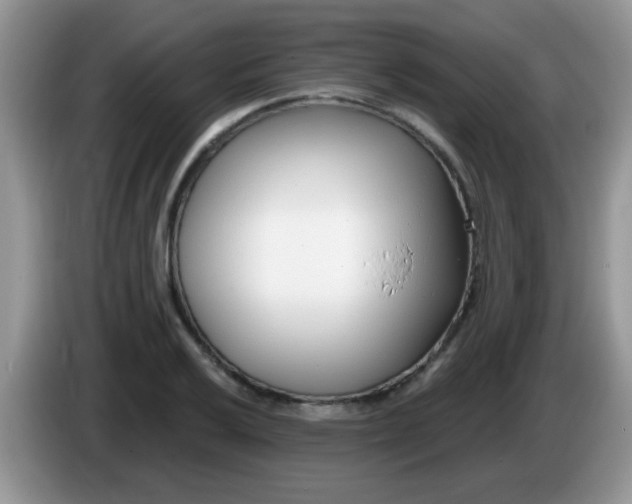 X0000086251032200704121948
