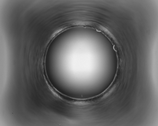 X0000086251033200704121948