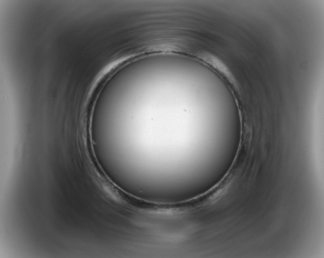 X0000086251035200704121948