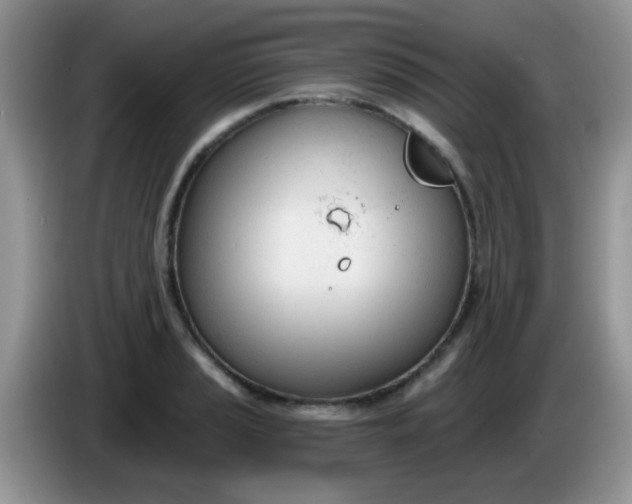 X0000086251037200704121948