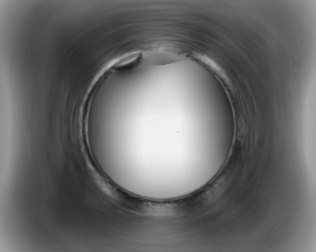 X0000086251039200704121948