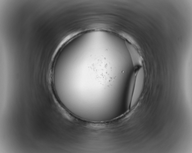 X0000086251040200704121948