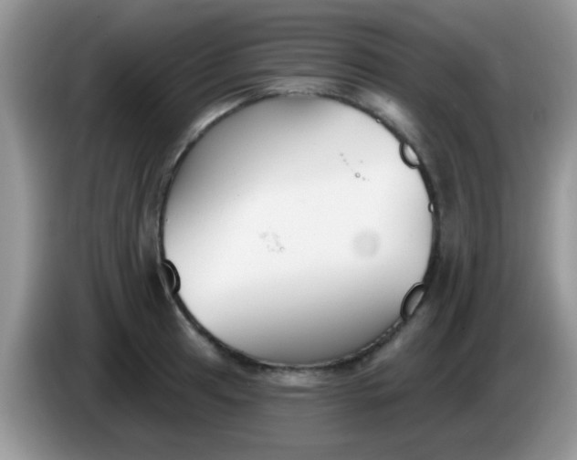 X0000086251041200704121948