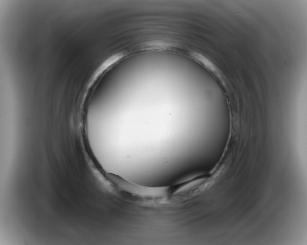 X0000086251042200704121948