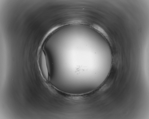 X0000086251043200704121948