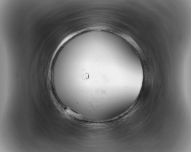 X0000086251044200704121948