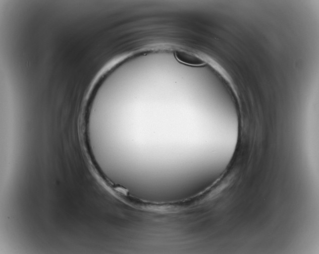 X0000086251045200704121948