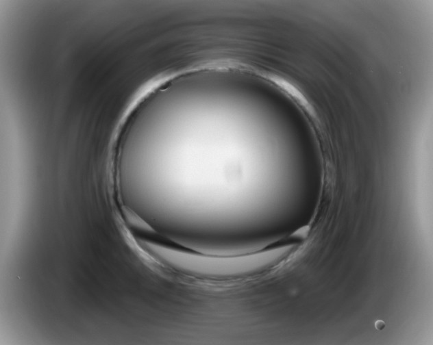 X0000086251046200704121948