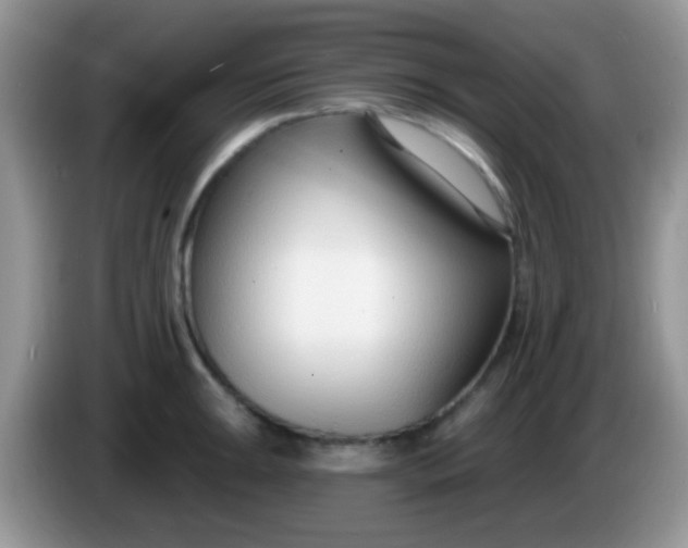 X0000086251047200704121948