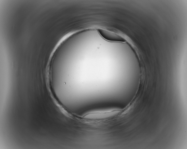 X0000086251048200704121948