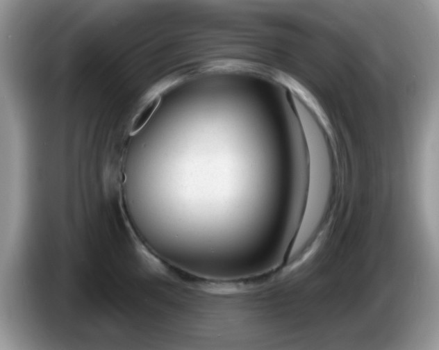 X0000086251049200704121948