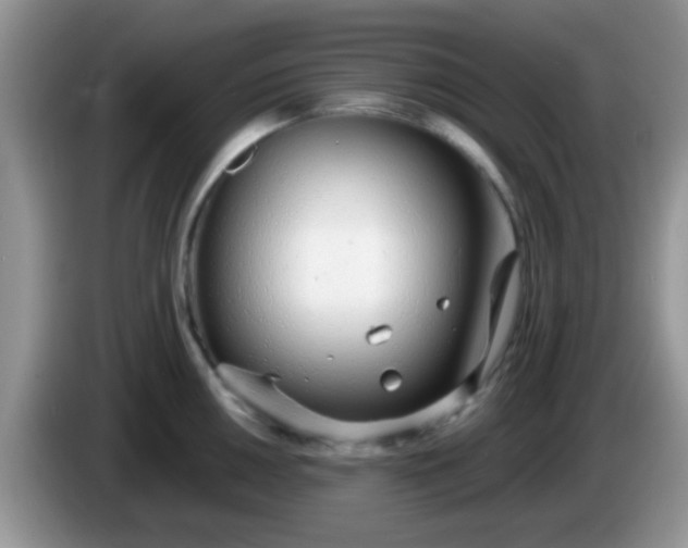 X0000086251050200704121948