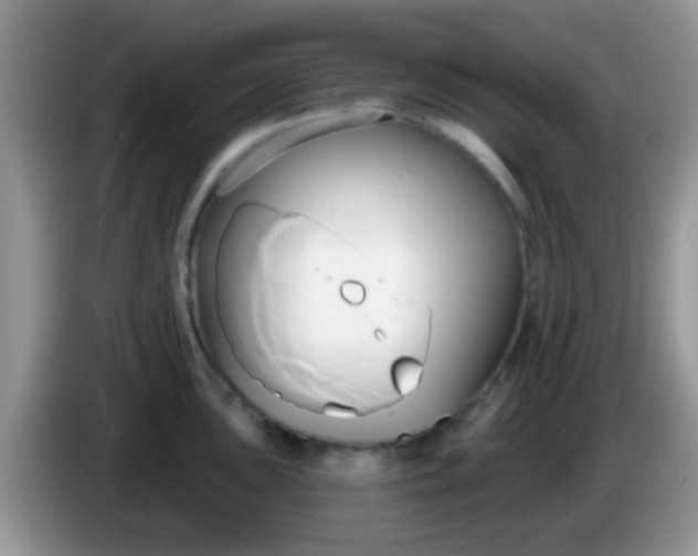 X0000086251051200704121948