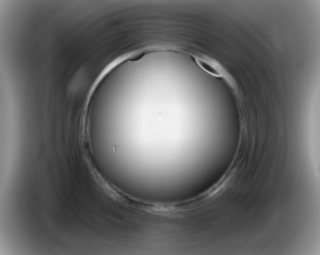 X0000086251052200704121948