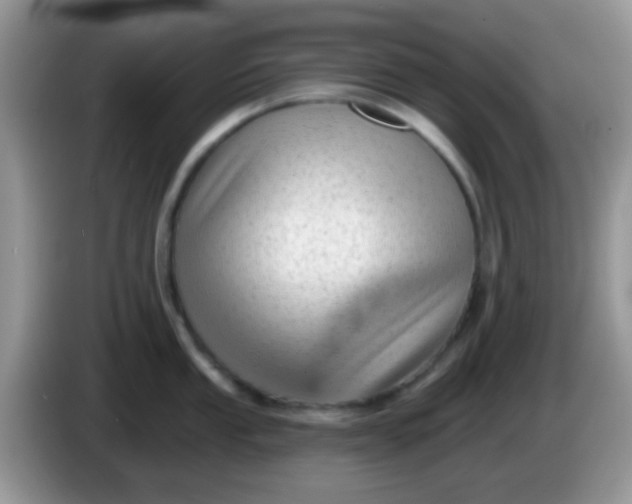 X0000086251053200704121948