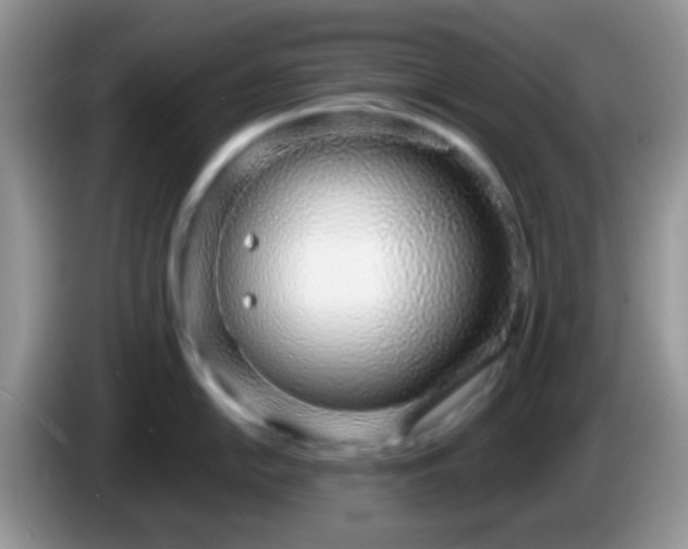 X0000086251054200704121948