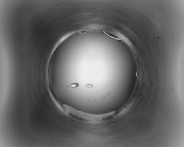 X0000086251055200704121948
