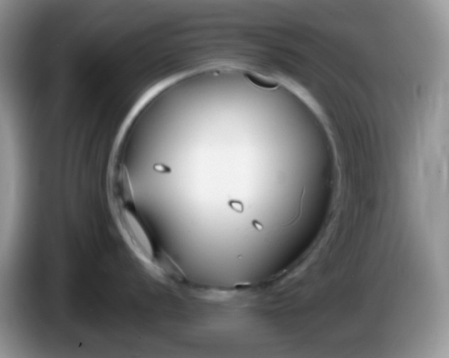 X0000086251056200704121948