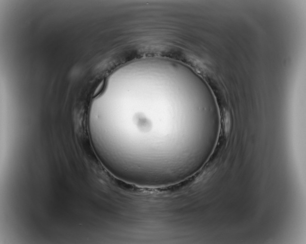 X0000086251059200704121948