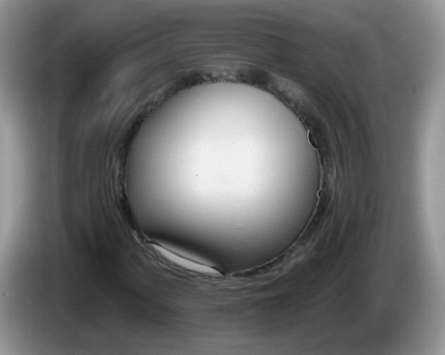 X0000086251060200704121948