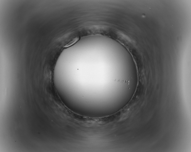 X0000086251061200704121948