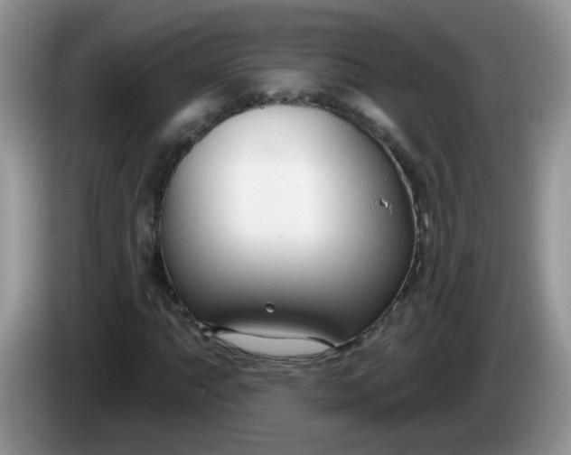 X0000086251063200704121948