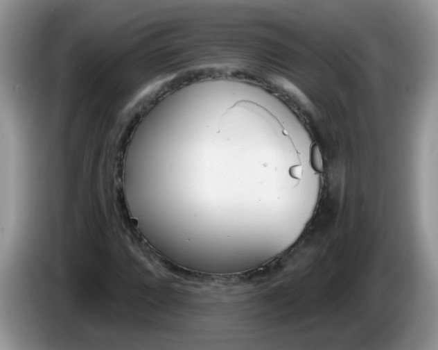 X0000086251064200704121948