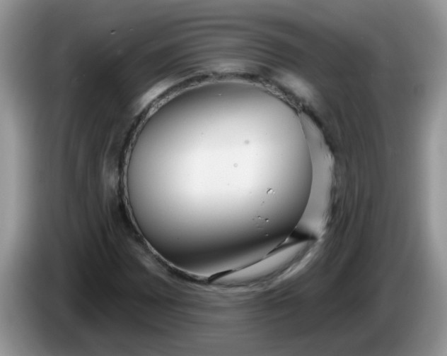 X0000086251065200704121948