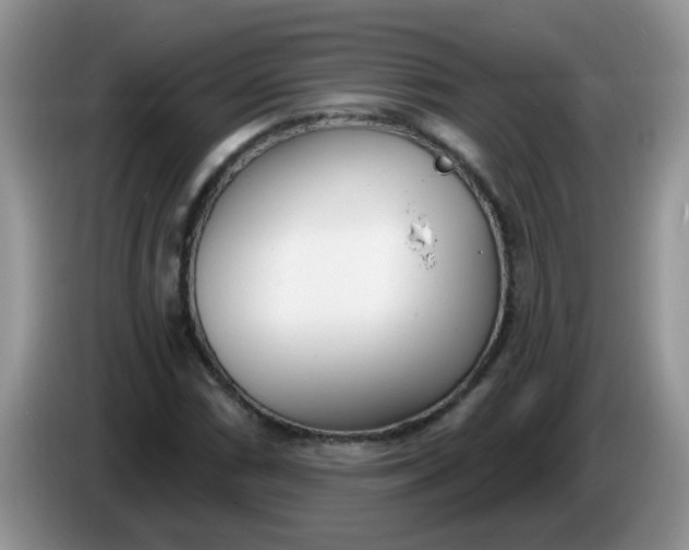 X0000086251066200704121948