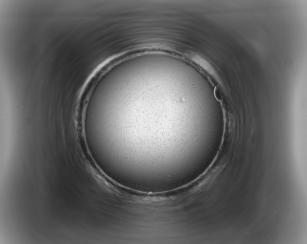 X0000086251068200704121948