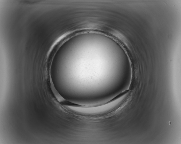 X0000086251069200704121948