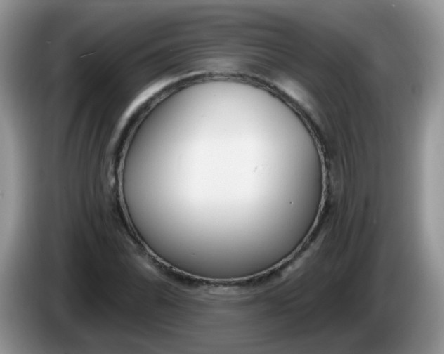 X0000086251070200704121947
