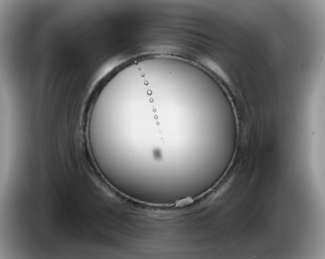X0000086251071200704121947