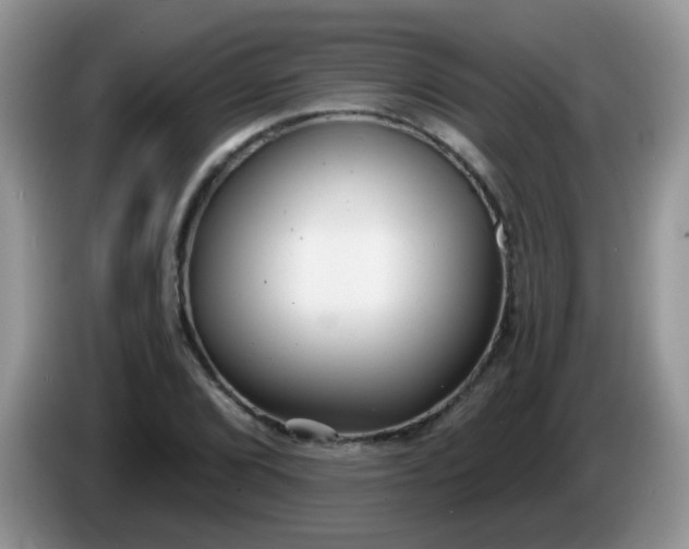 X0000086251072200704121947