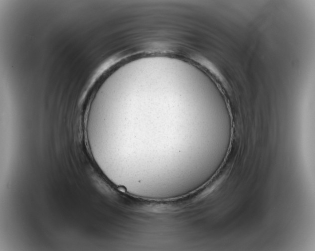 X0000086251075200704121947