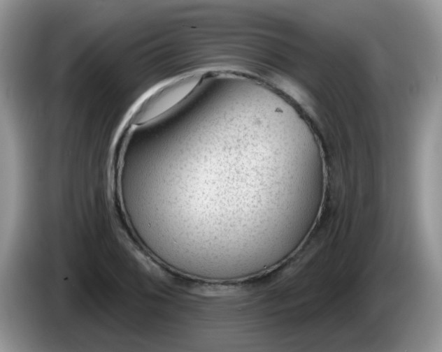 X0000086251076200704121947