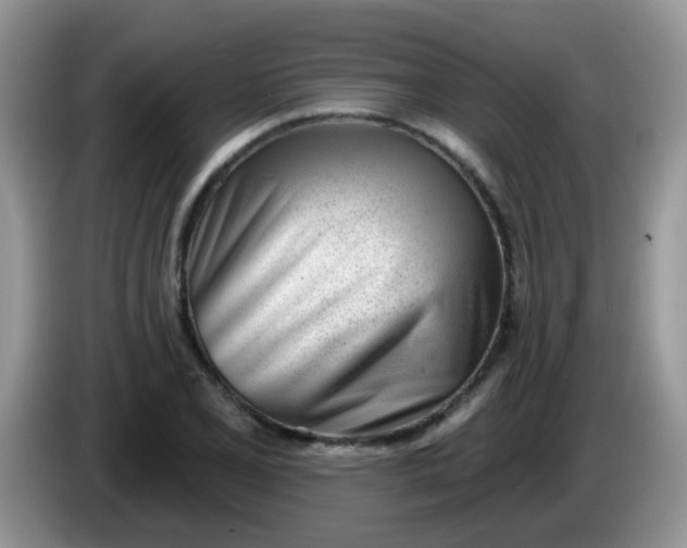 X0000086251077200704121947