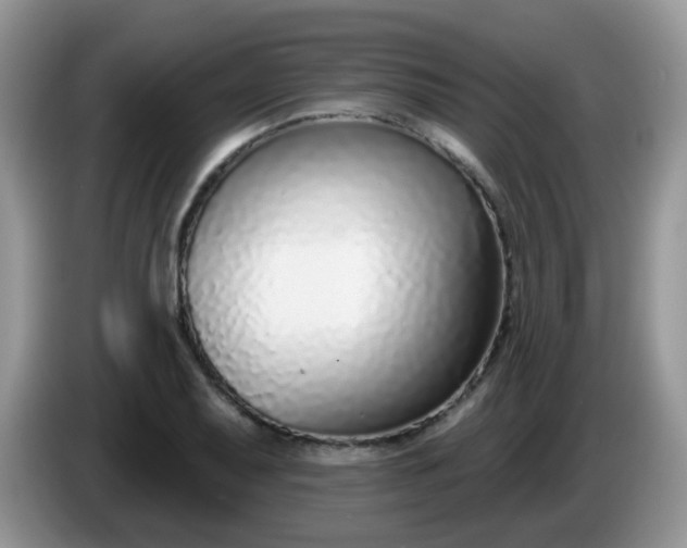 X0000086251079200704121947