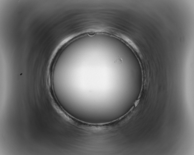 X0000086251080200704121947