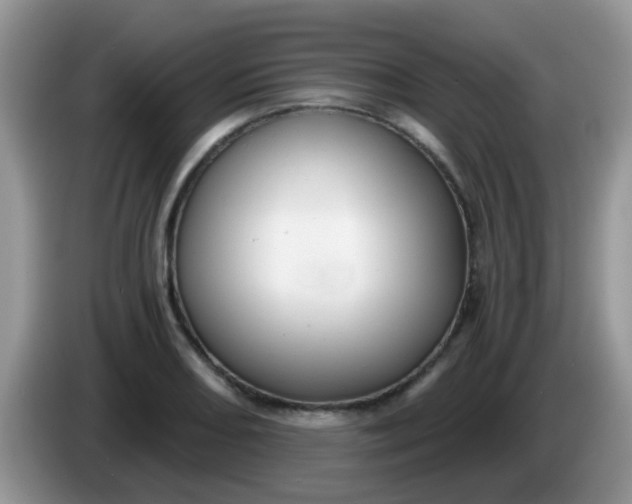 X0000086251082200704121947