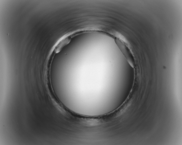 X0000086251085200704121947